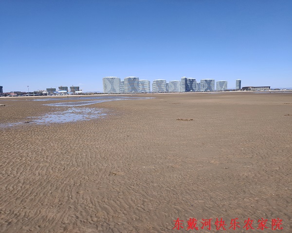 文章附图