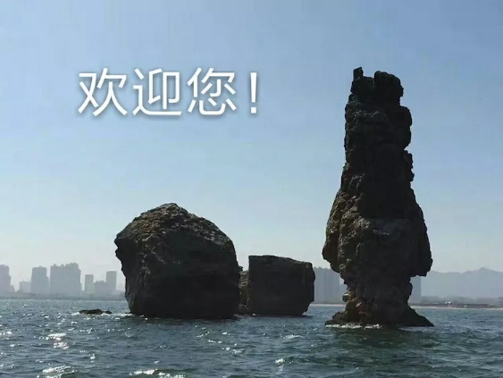 文章附图
