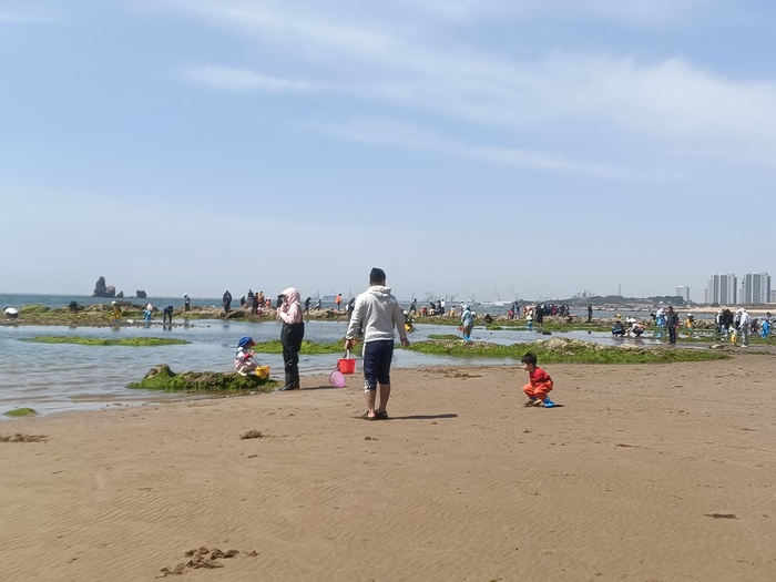 2015赶海.jpg